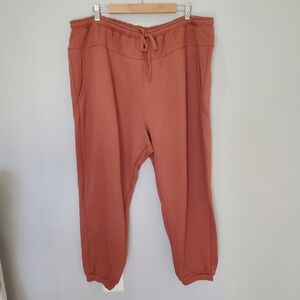 Madewell Plus Size Ginger Betterterry Pockets Joggers Sweatpants Pants 3X NWT